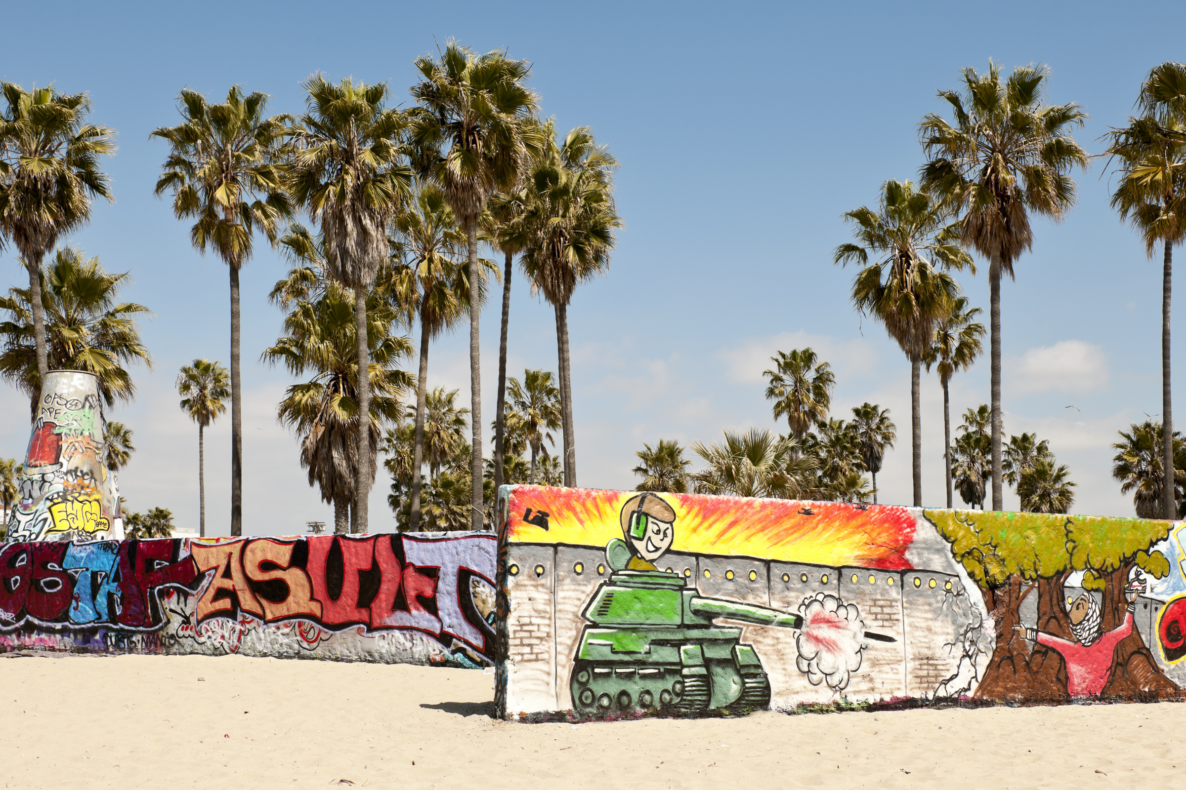 venice, california (2).webp